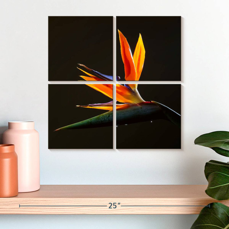 Harnek Exotic Crane Lily, 18" H x 18" W