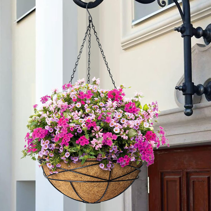 Hanging Planter