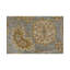 Ziegler Wool Oriental Area Rug in Light Blue/Brown