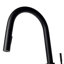 Gemini Single Handle Kitchen Faucet with Side Spray and Accessories-857853661