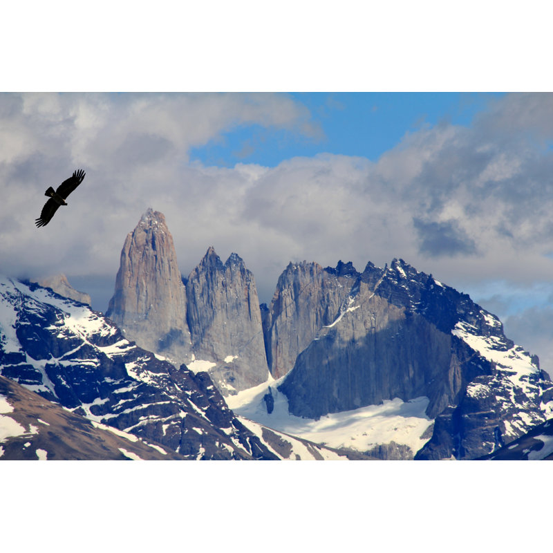 Condor At Torres Del Paine by JudyDillon - Wrapped Canvas Print, 30cm H x 46cm W