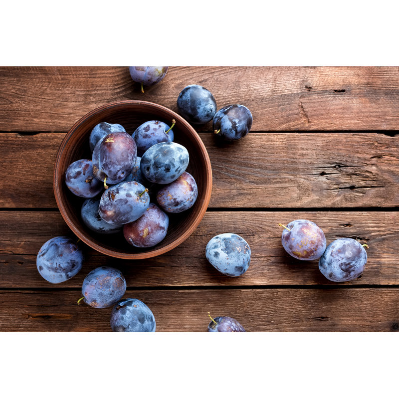 Prunes - photographie sur toile tendue, H 24 po x l 36 po