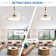 42" Retractable Ceiling fan with Light, 6-Speed Latest DC Motor Remote Control Ceiling Fan