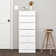Astrid Simplistic 6 Drawer 19.75" W Lingerie Chest