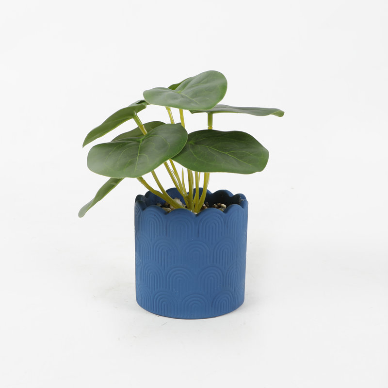 6.5'' Faux Money Plant Plant in Pot