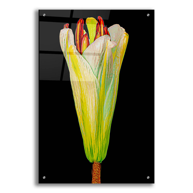 «Lily Bud» par Pamela Plummer, art mural en verre acrylique, 16 po x 24 po, H 36 po x l 24 po x P 0,2 po