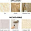 Adhesive Stainless Steel Shower Caddy