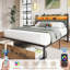 Queen Bed Frame with LED Light and Charging Station, Metal Platform bed with Storage Headboard, No Box Spring Needed, Brown-1365321684