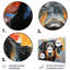 Chien, chien, compagnon, collage, animaux, impressions sur métal-453209083
