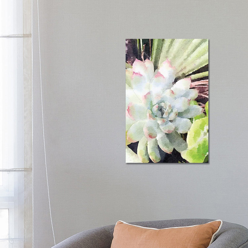 Watercolour Green Succulent by Nola James - Wrapped Canvas Painting, 66.04 cm H x 45.72 cm W x 1.91 cm D