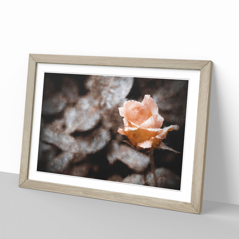 Pink Rose Flower Vol.5 - Framed Print, 27cm H x 36cm W x 2cm D, Oak Framed