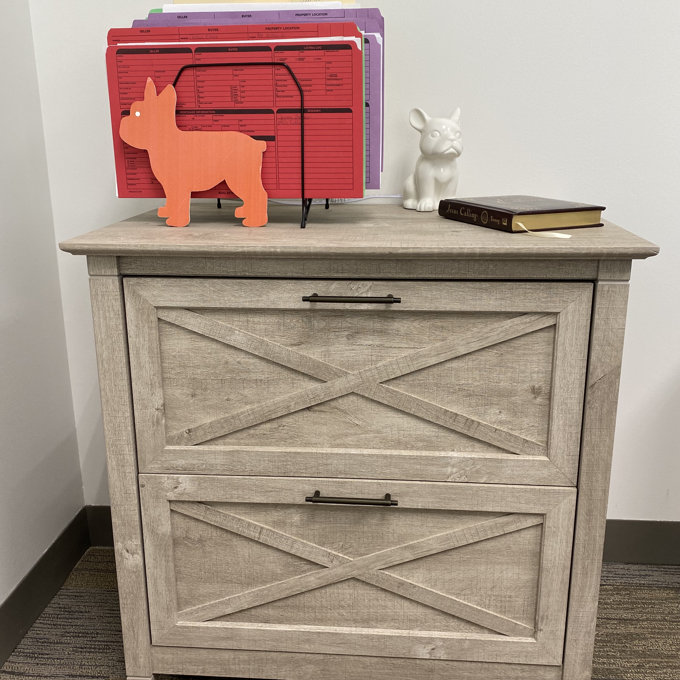 Kaionna 30'' Wide 2 -Drawer File Cabinet - Shiplap Gray/Pure White