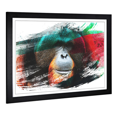 Orangutan Monkey Framed Art - Framed Print