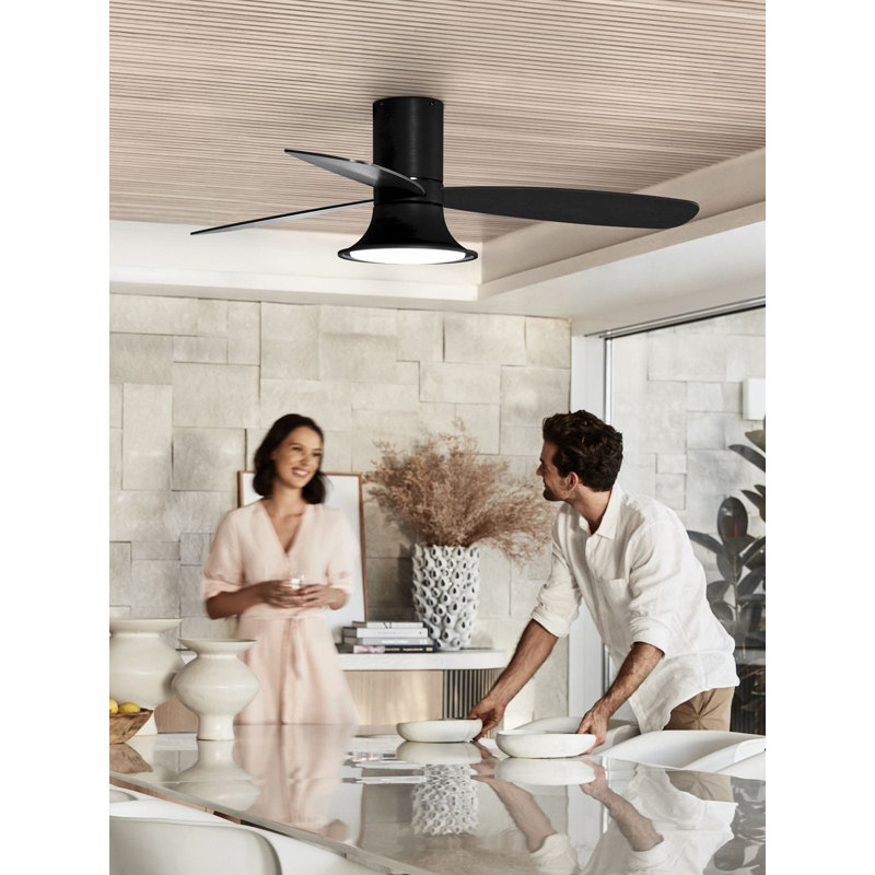 Haracha 132cm Ceiling Fan with Light Kit, Black, Black