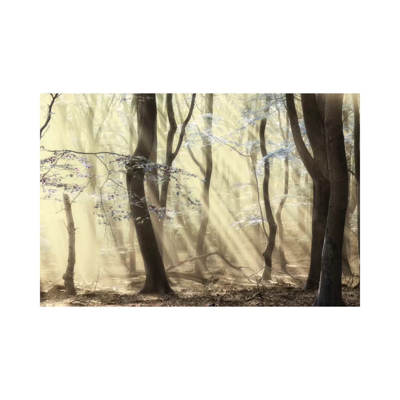 Forest Dimensions by Lars Van De Goor - Wrapped Canvas Print, 101.6 cm H x 66.04 cm W x 1.91 cm D