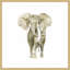 «Baby Elephant I», reproduction encadrée-21183712