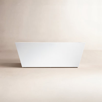 Echo 67" Freestanding Soaking Acrylic Bathtub