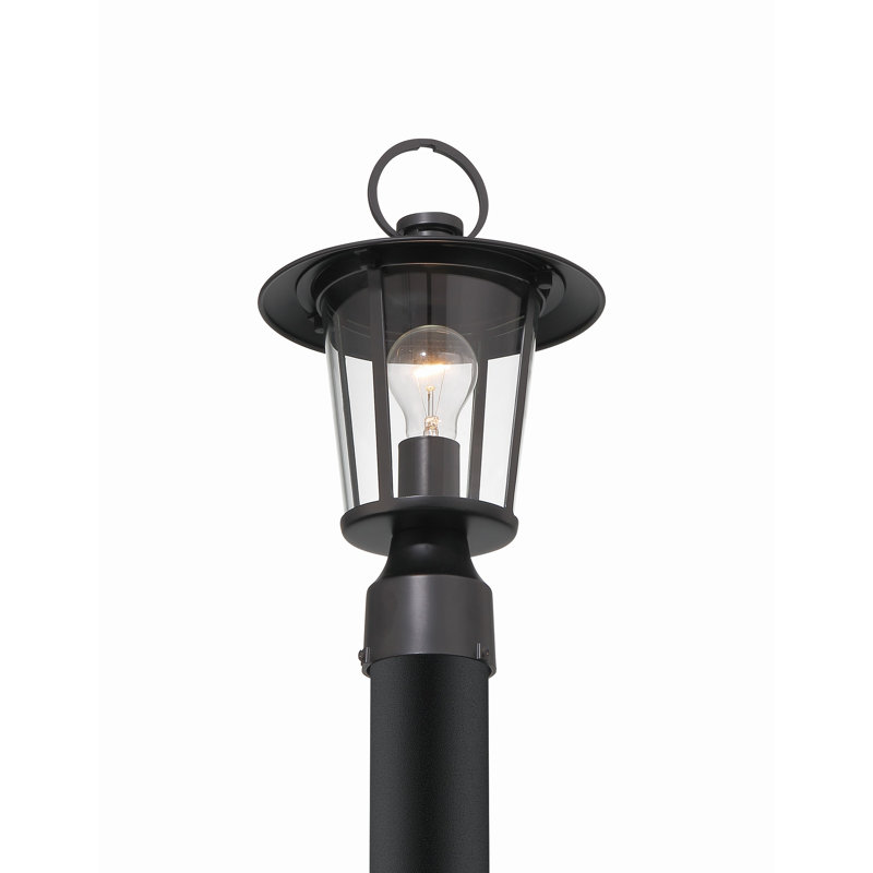 Tranesha Transparent Lantern Head