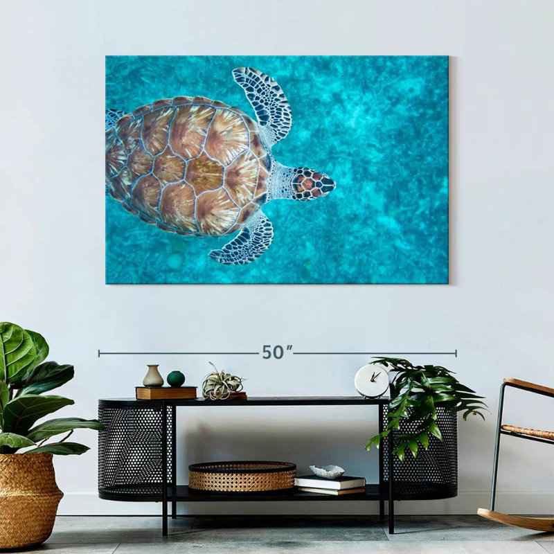 Natation tortue imbriquée, H 32 po x l 48 po