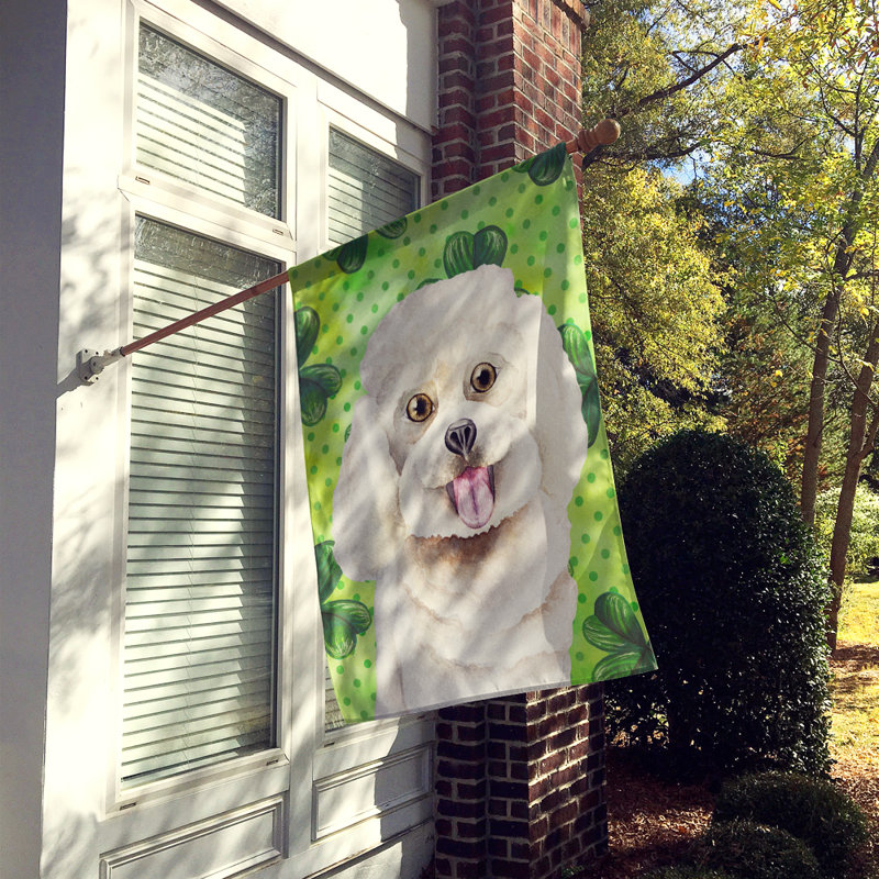 40 x 28 po en polyester à 2 côtés de la st patrick drapeau maison, Beige bichon frisé