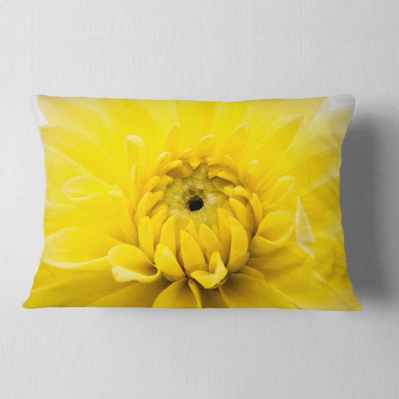 Coussin lombaire fleur chrysanthemum