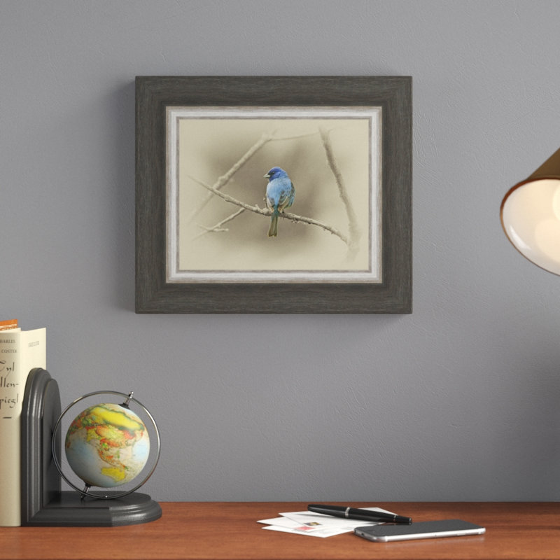 «Indigo Bunting», reproduction de photo encadrée