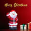 Christmas Decorative Accent