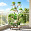 Plant Stand - Set of 8