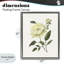 Cadre flottant crème avec pivoines de jardin crème, design par Nan-748869499-748869479
