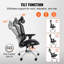 Jerlyn Ergonomic Office Chair with Headrest
