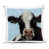 Blue/Black Cow