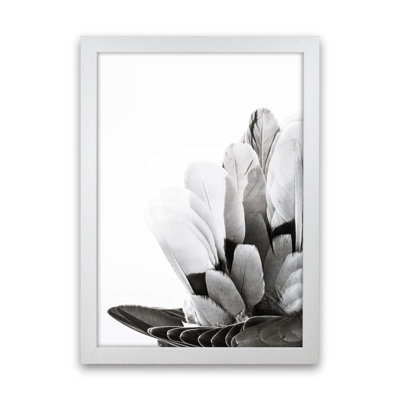 Feathers by Victoria Frost - Print