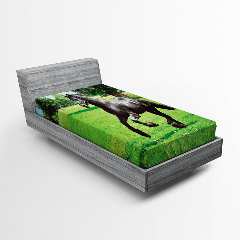 Drap-housse en chevaux, Drap-housse de taille simple