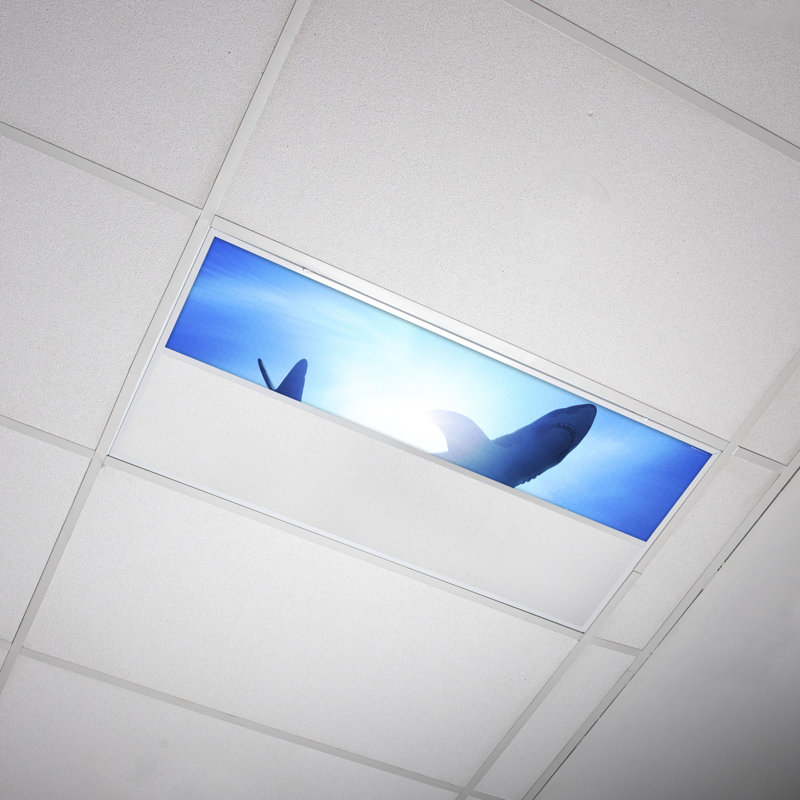 Couvre-lumière décoratif flexible océan