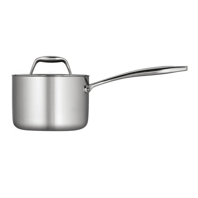 https://assets.wfcdn.com/im/90690726/resize-h755-w755%5Ecompr-r85/1417/14178338/Tramontina+Tri-Ply+Clad+Stainless+Steel+Gourmet+Sauce+Pan.jpg