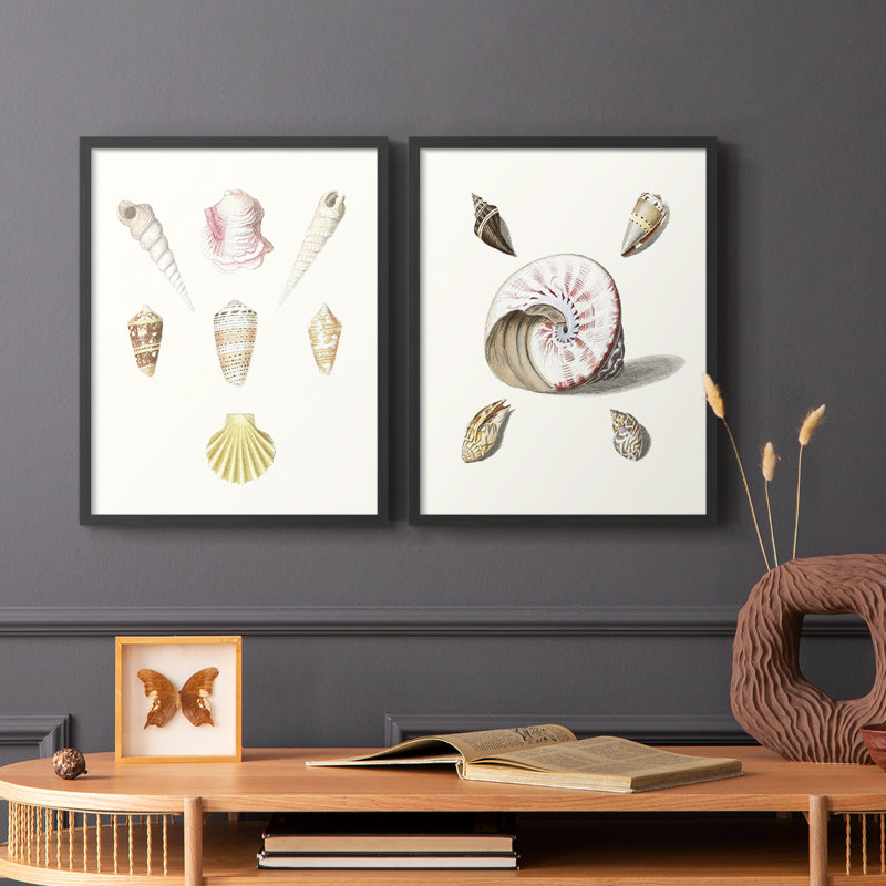 «Pastel Knorr Shells I», reproduction encadrée de qualité supérieure - prête à être accrochée - aucun clou requis - aucun clou requis