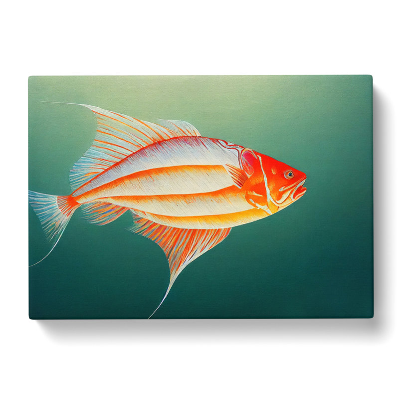 Intense Fish - Wrapped Canvas, 50cm H x 76cm W x 3cm D