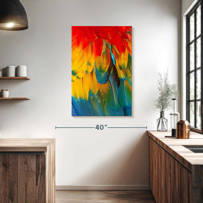 Brampt Macaw Feathers, 39" H x 26" W