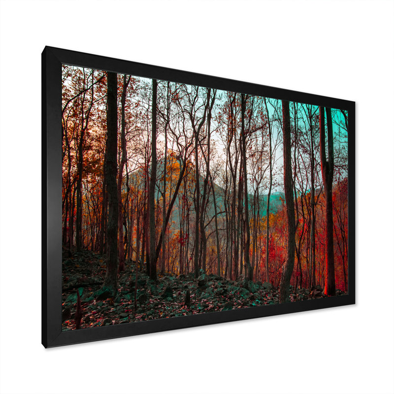 «Beautiful Bright Path To Autumn Forest», reproduction sur toile, Cadre d'angle fermé noir, H 12 po x l 20 po x P 1 po
