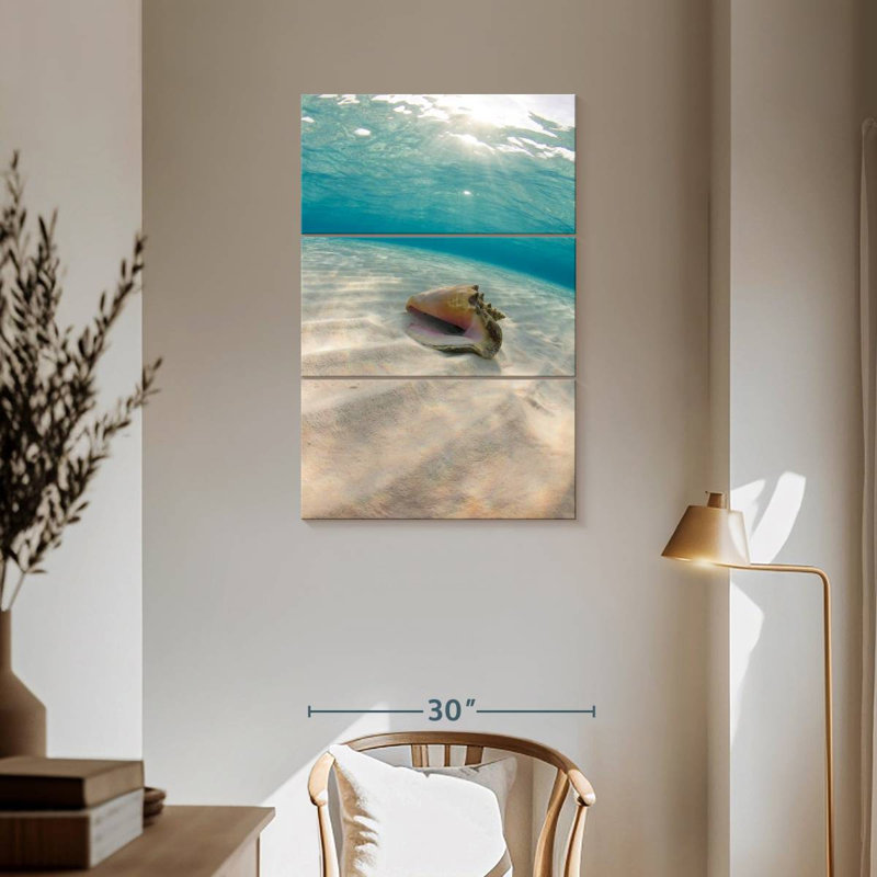 Aletra Underwater Seashell, 57" H x 36" W