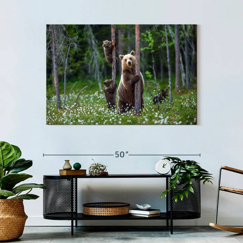 Brampt Grizzly Bear Group