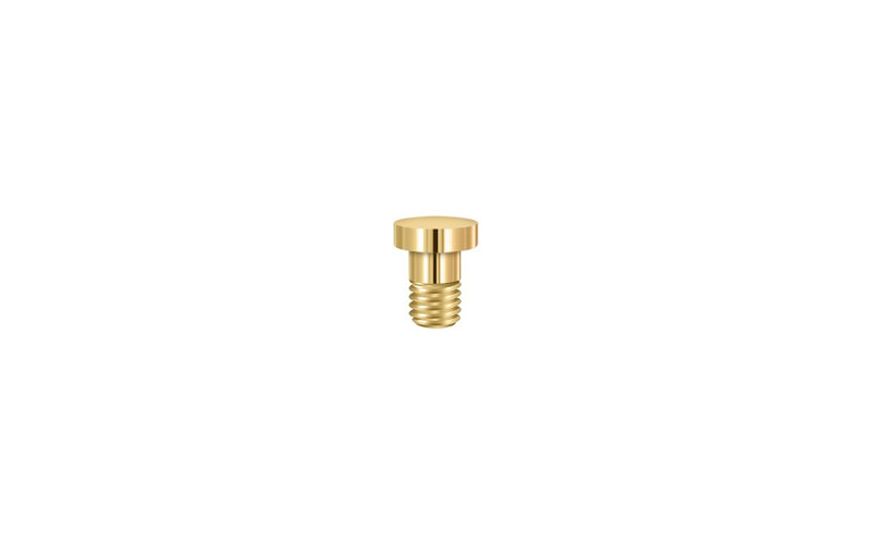 Extended Button Center Hinge Tip, Lifetime Brass