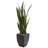 Sansevieria Artificial Plant in Black Planter