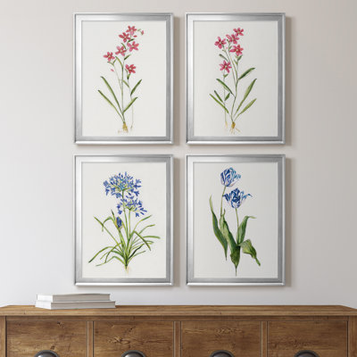 " Delicate Pink I " 4 - Pieces Painting Print