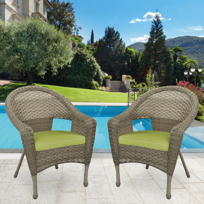 Watts Premium All-Weather Wicker Outdoor Dining Armchair with Cushion