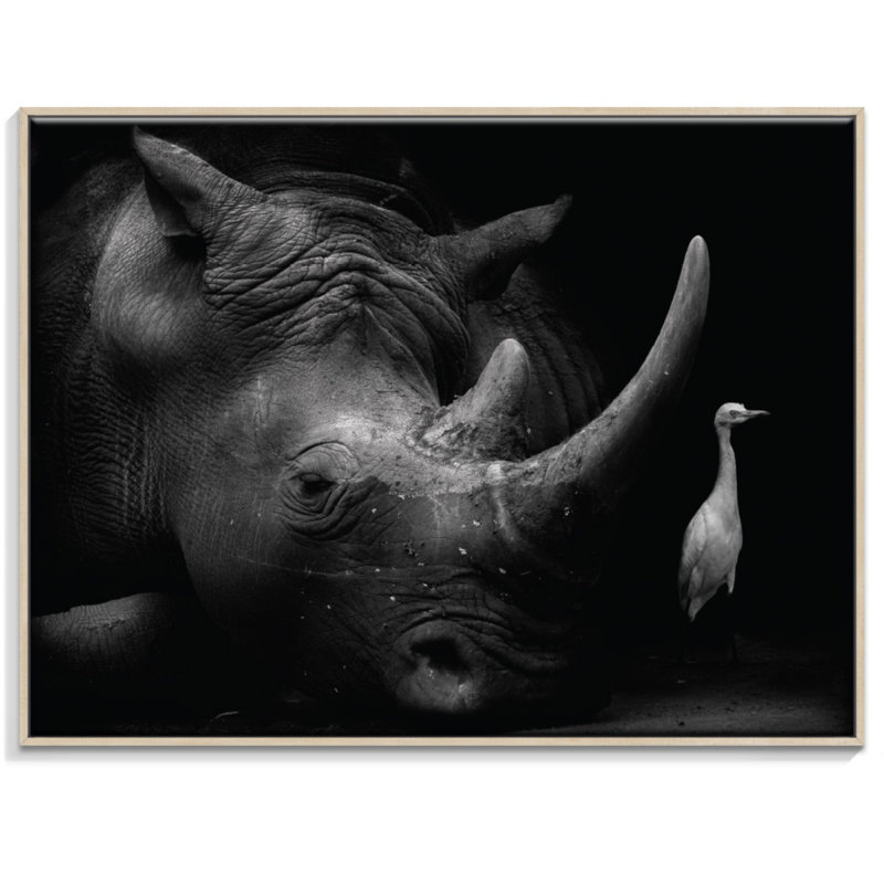 Print on Canvas, Timber, 76cm H x 102cm W