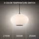 Illusion Single Light Glass Dimmable LED Pendant