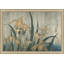 Grasshopper And Iris Print