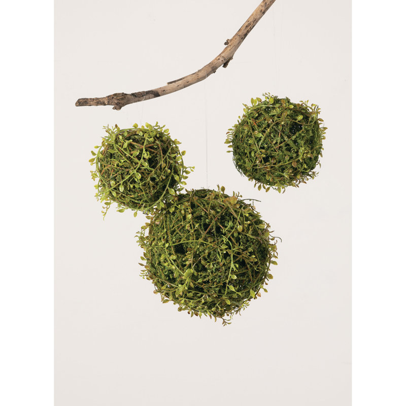 Ensemble de plantes 3 pièces Mossy Orbs