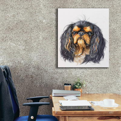 " King Charles Spaniel " by Barbara Keith